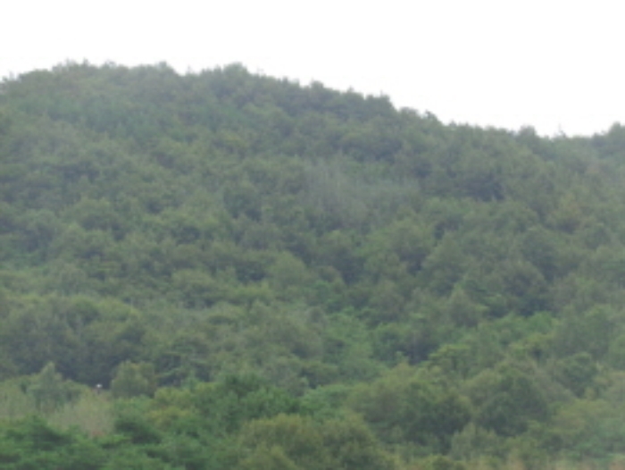 군산지원 2018타경6639-1 사진
