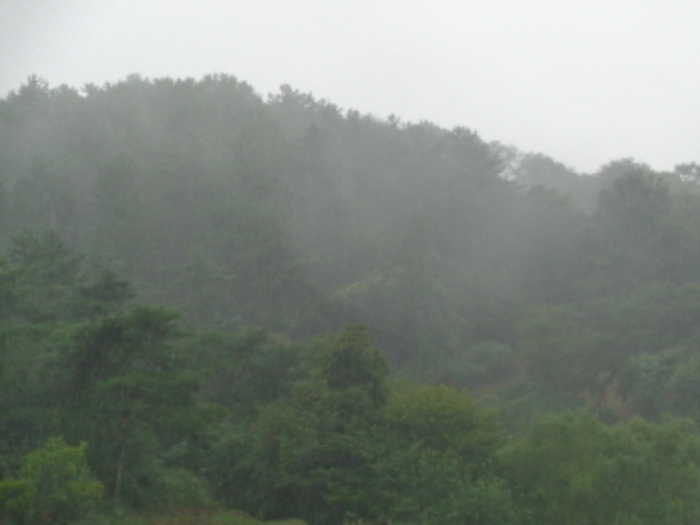 군산지원 2018타경7397-1 사진