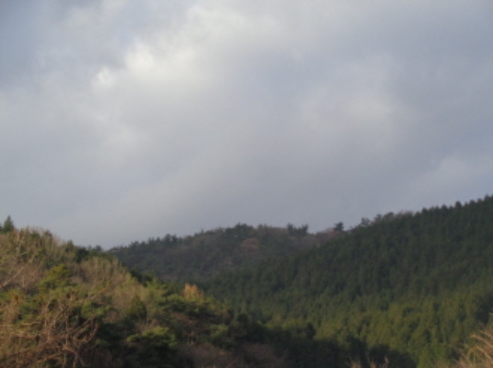 군산지원 2018타경9355-1 사진