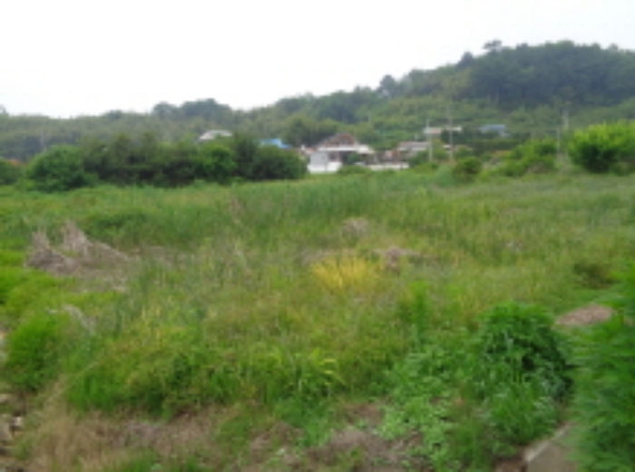 군산지원 2019타경4012-1 사진