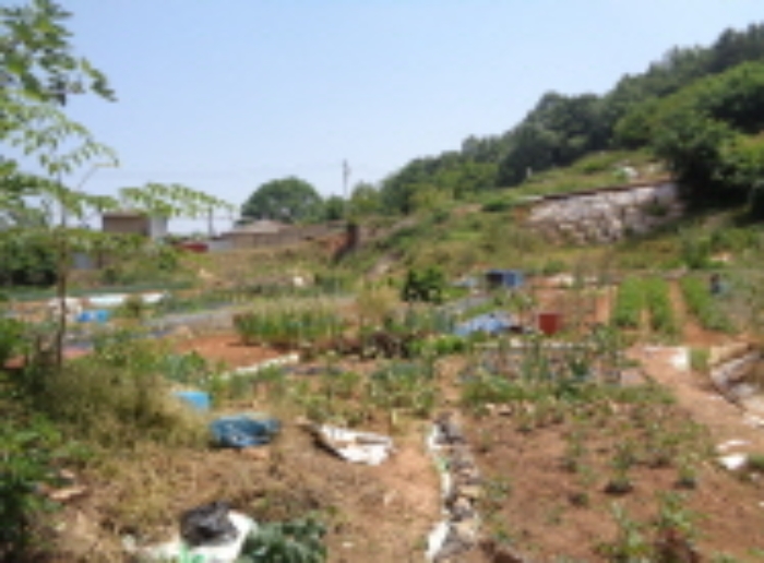 군산지원 2019타경102299-1 사진