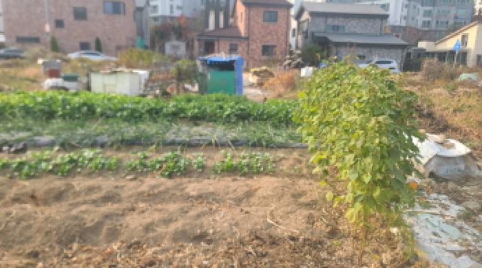 군산지원 2025타경610-1 사진