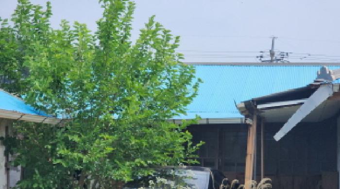 군산지원 2025타경21018-1 사진