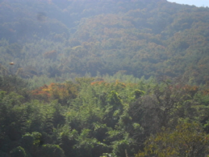 정읍지원 2018타경31386-2 사진