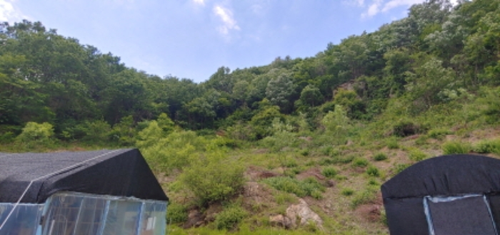 남양주지원 2022타경736-1 사진
