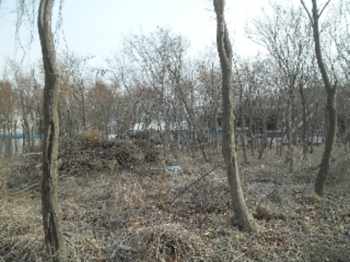 고양지원 2013타경10273-2 사진