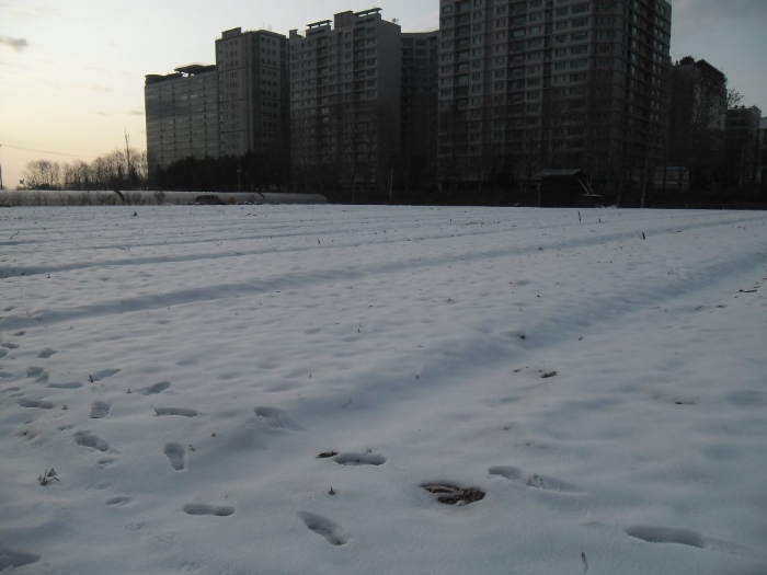 고양지원 2013타경47657-1 사진