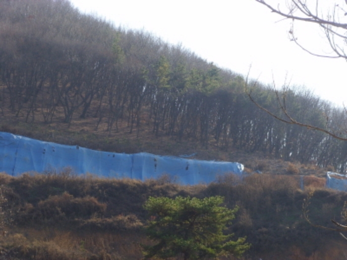 고양지원 2016타경19103-1 사진