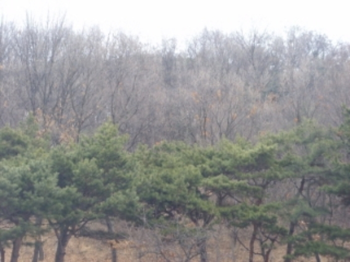 고양지원 2017타경1604-1 사진