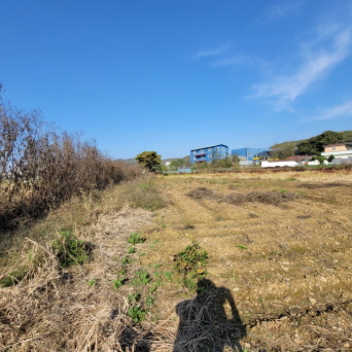 고양지원 2024타경8047-2 사진