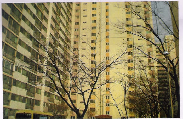 안산지원 2009타경3527-1 사진