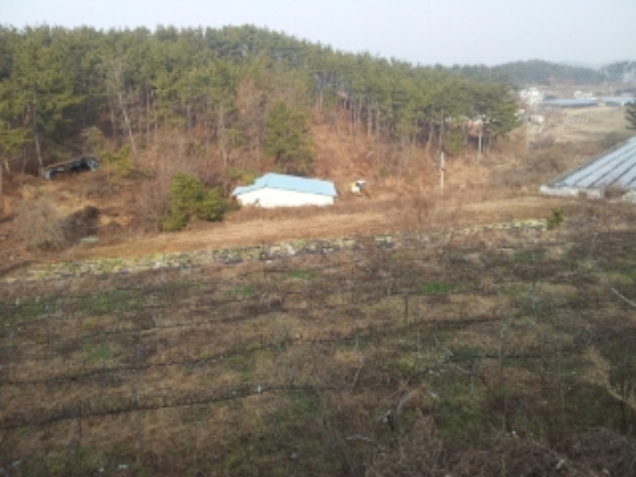 안산지원 2012타경26148-1 사진