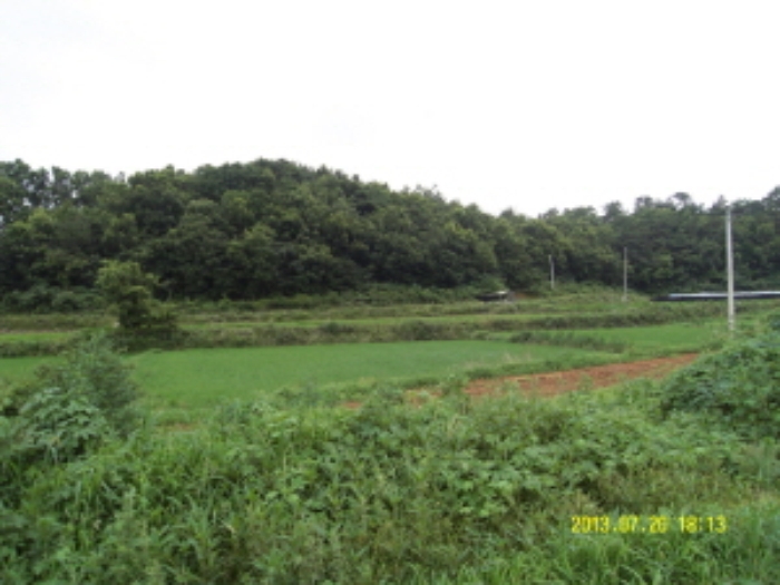 안산지원 2013타경15572-1 사진