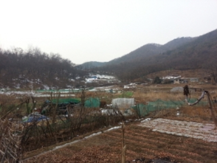 안산지원 2013타경27384-1 사진