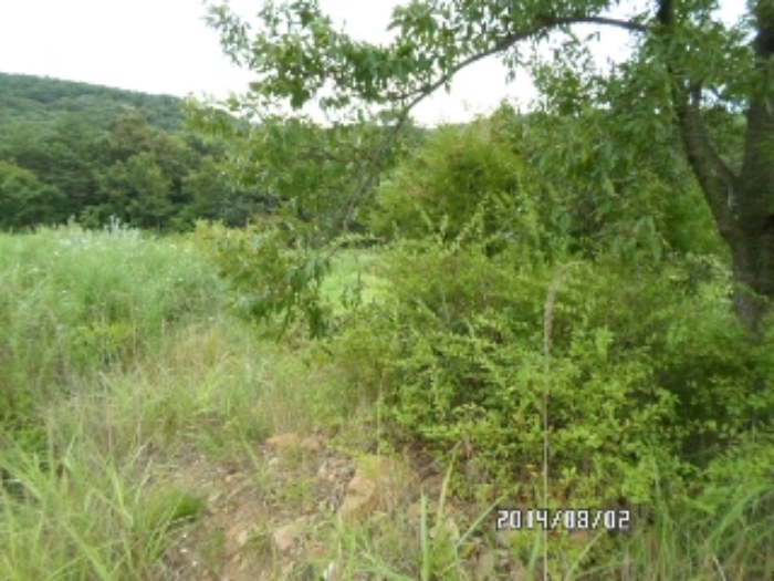 안산지원 2014타경14286-2 사진