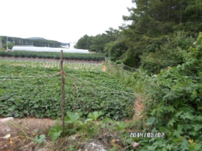 안산지원 2014타경14736-1 사진