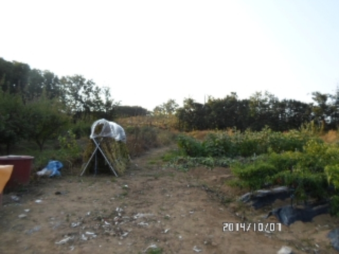 안산지원 2014타경18875-1 사진