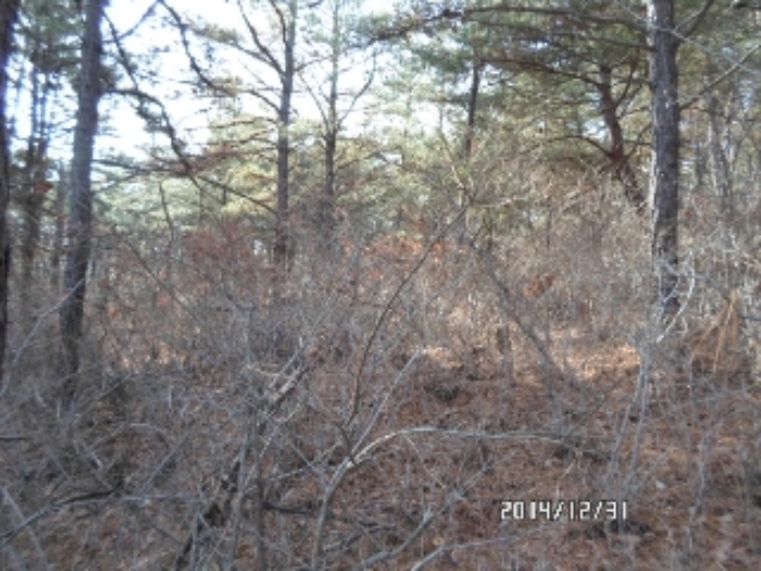 안산지원 2014타경25095-1 사진