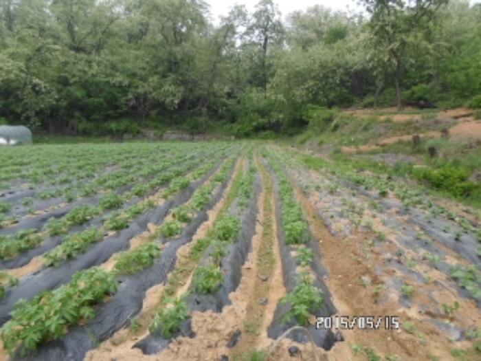 안산지원 2015타경7025-1 사진