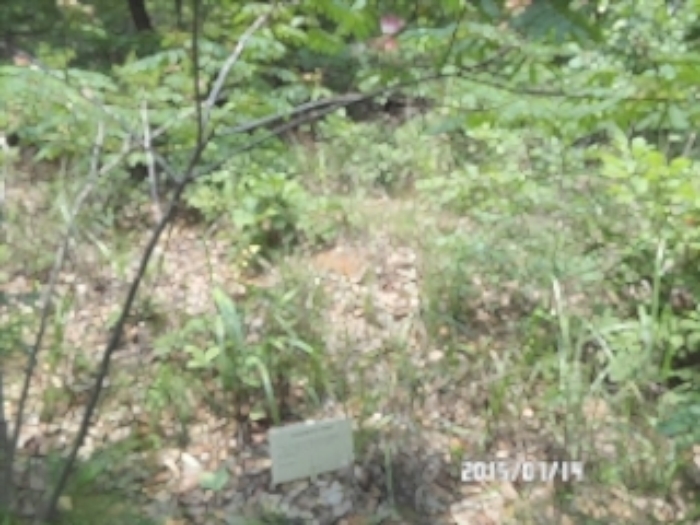 안산지원 2015타경9458-1 사진