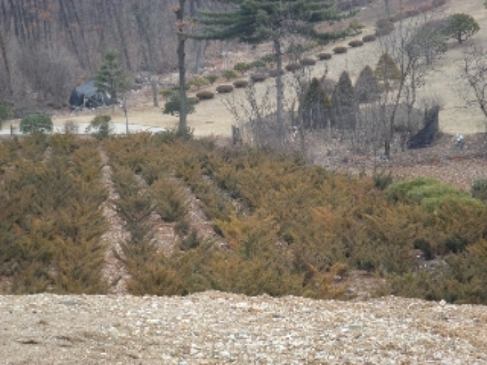 안산지원 2016타경1840-1 사진