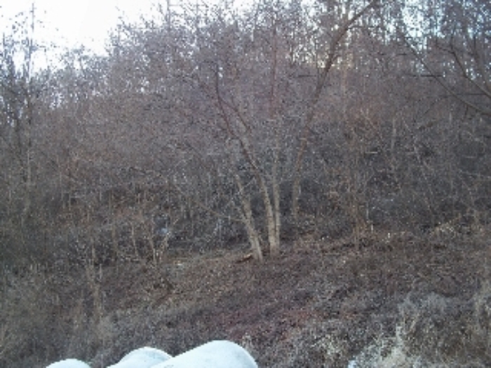 안산지원 2016타경55441-1 사진