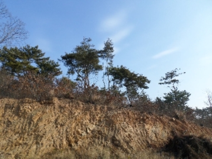 안산지원 2017타경66-1 사진
