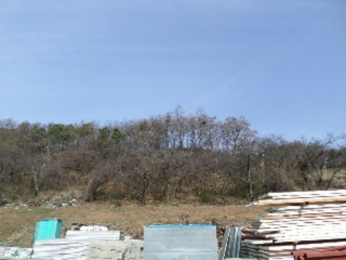 안산지원 2017타경2475-1 사진
