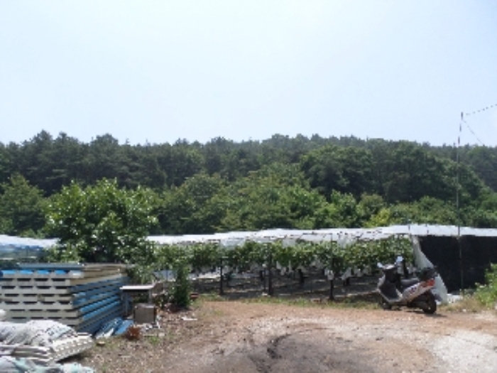 안산지원 2017타경4952-2 사진