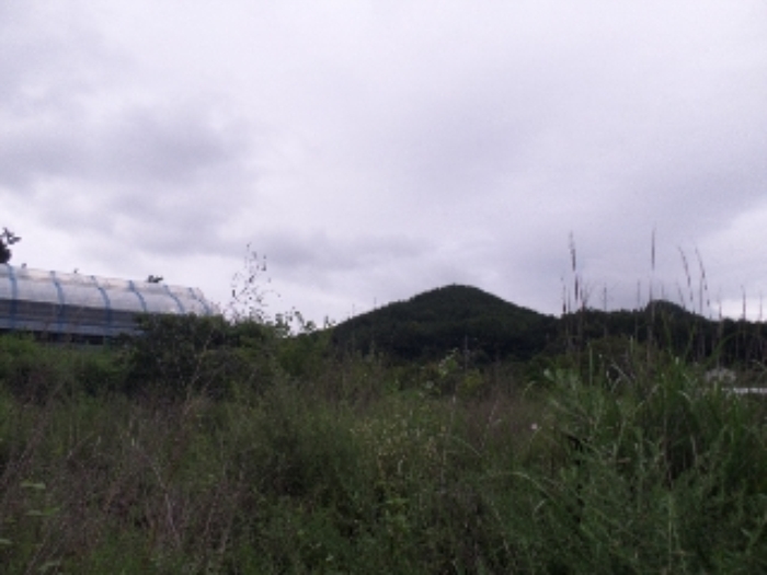 안산지원 2017타경6811-2 사진