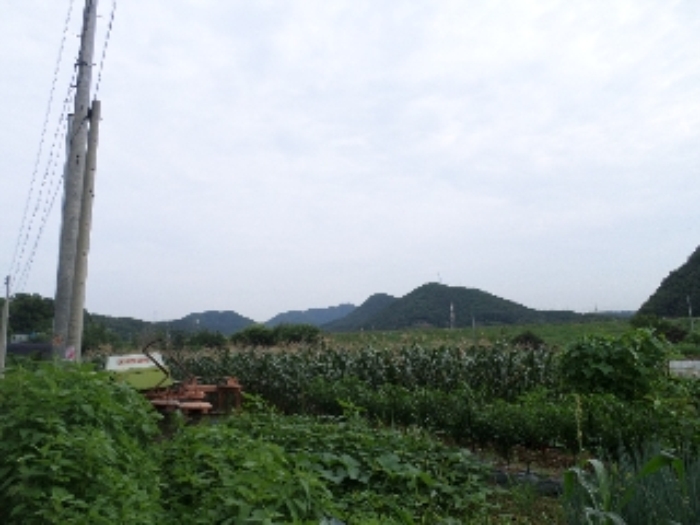 안산지원 2017타경7210-1 사진