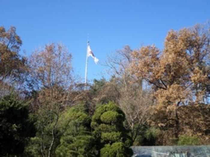 안산지원 2017타경11776-1 사진