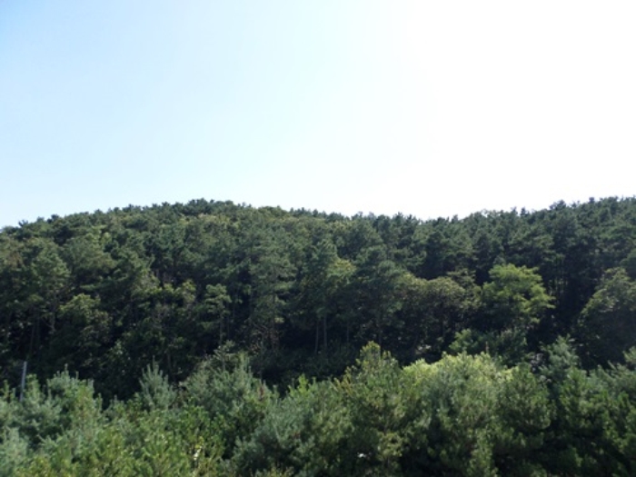안산지원 2018타경7552-1 사진