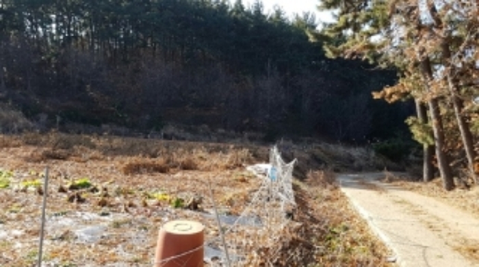 안산지원 2019타경12360-1 사진