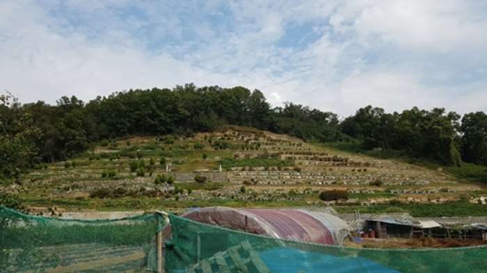 안산지원 2019타경57592-2 사진