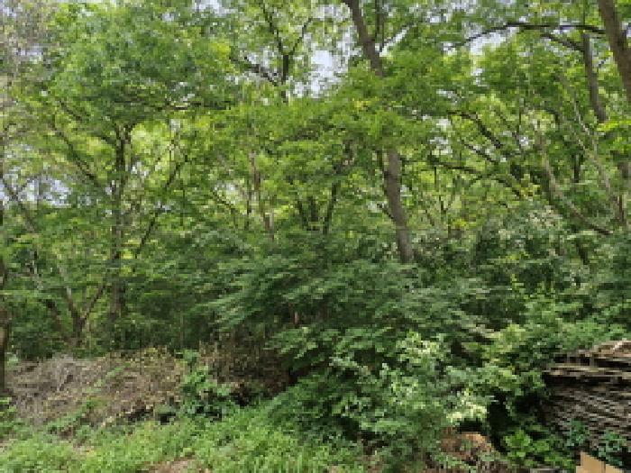 안산지원 2025타경52411-1 사진